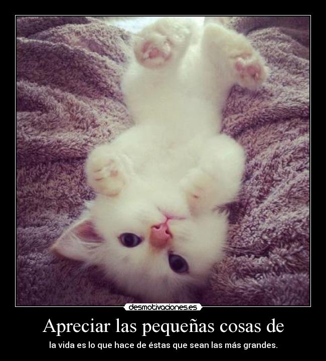 Apreciar las pequeñas cosas de - la vida es lo que hace de éstas que sean las más grandes.