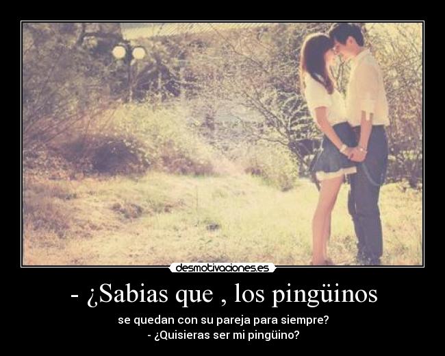 - ¿Sabias que , los pingüinos - 