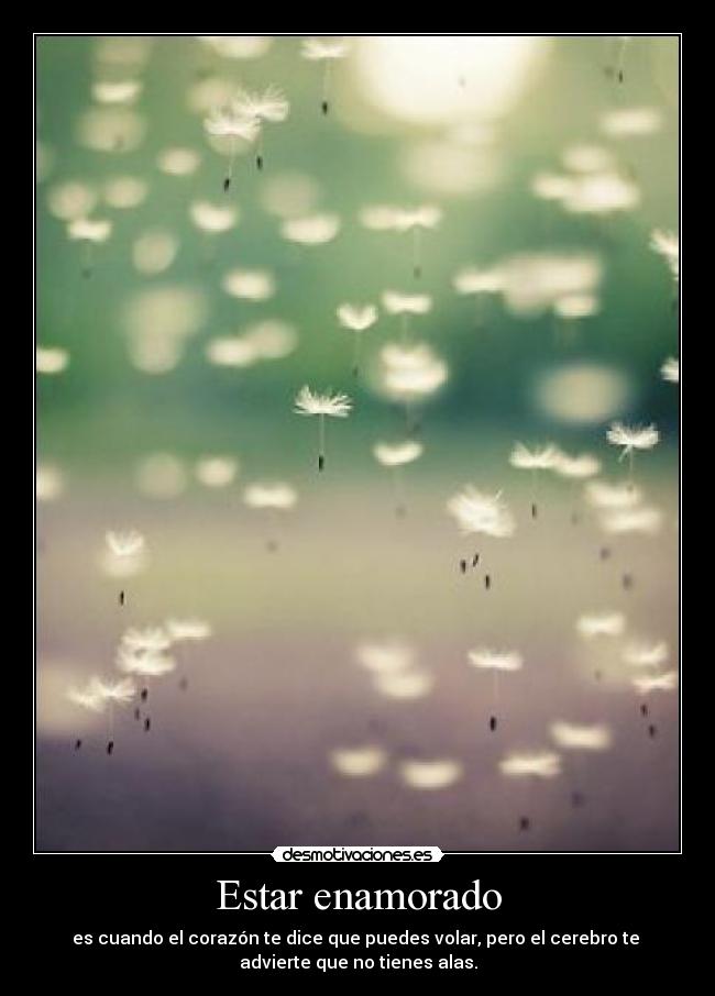 Estar enamorado - es cuando el corazón te dice que puedes volar, pero el cerebro te
advierte que no tienes alas.