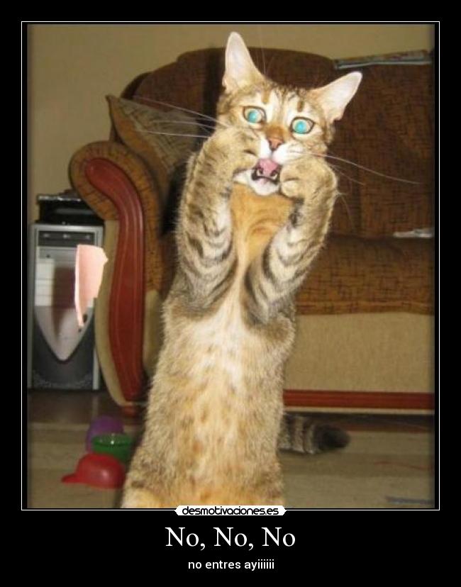 No, No, No - no entres ayiiiiii