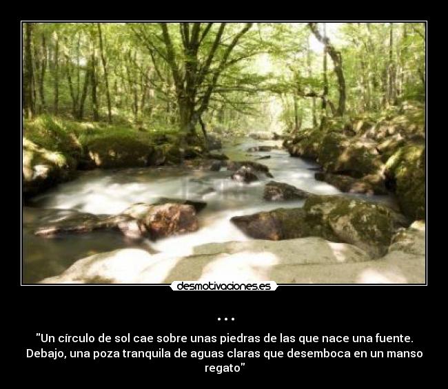 carteles sonados desmotivaciones