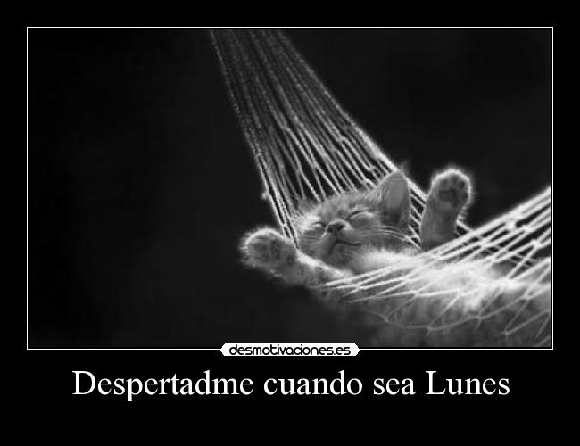 Despertadme cuando sea Lunes -