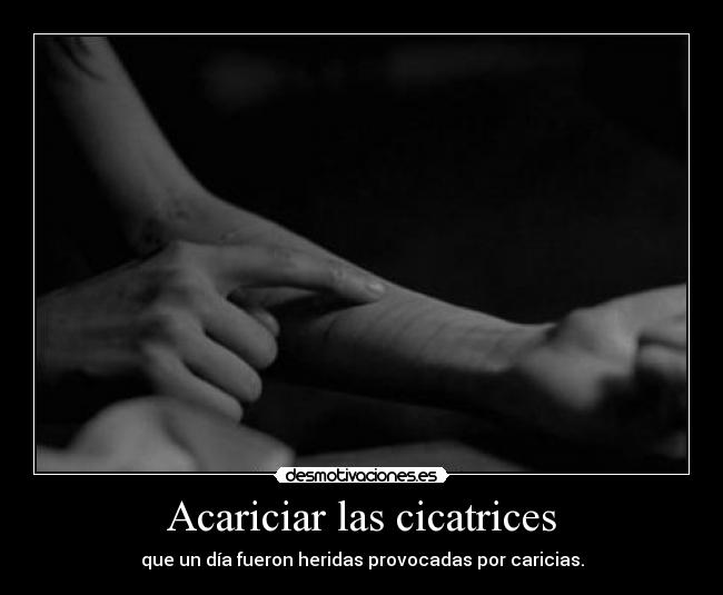 Acariciar las cicatrices - 