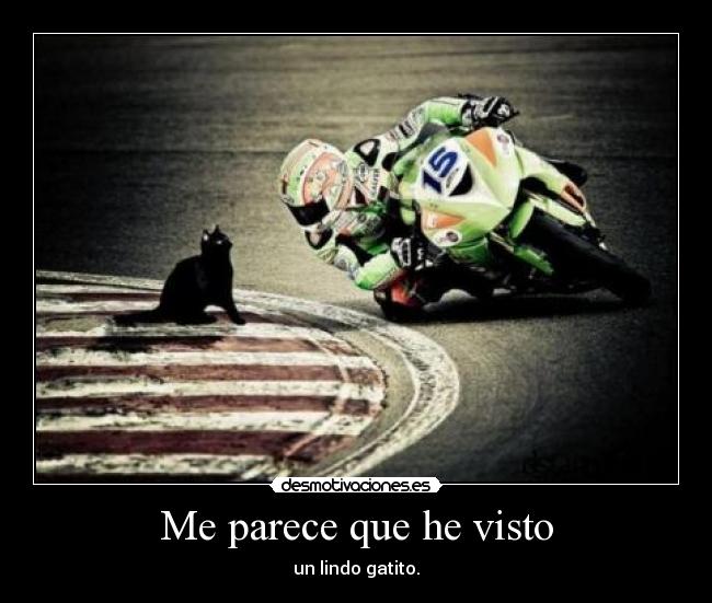 Me parece que he visto -