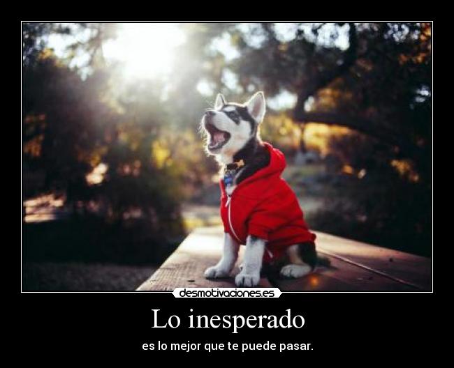 Lo inesperado - es lo mejor que te puede pasar.