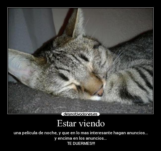 Estar viendo - una película de noche, y que en lo mas interesante hagan anuncios...
y encima en los anuncios...
TE DUERMES!!!