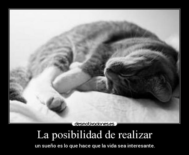 La posibilidad de realizar -