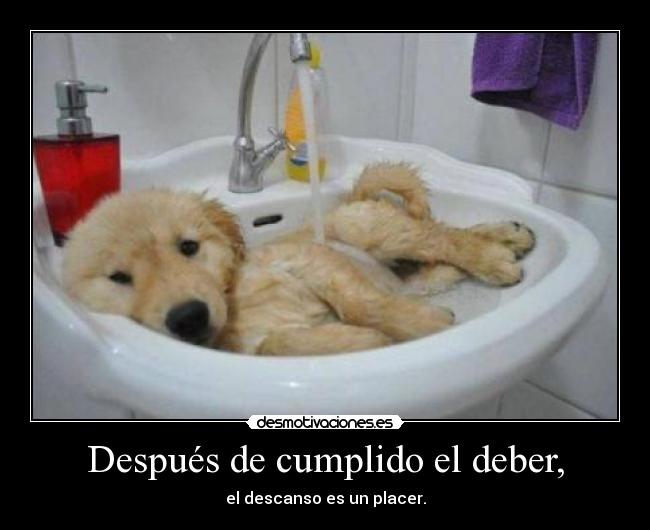 carteles relajar desmotivaciones