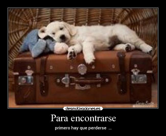 carteles perdidos desmotivaciones