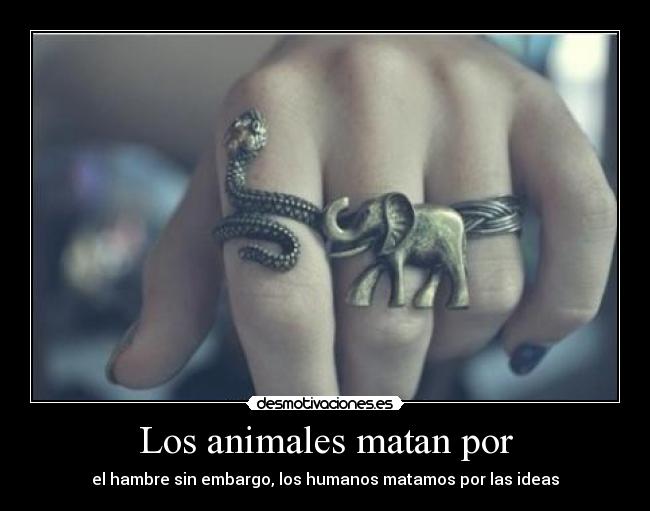 Los animales matan por - el hambre sin embargo, los humanos matamos por las ideas