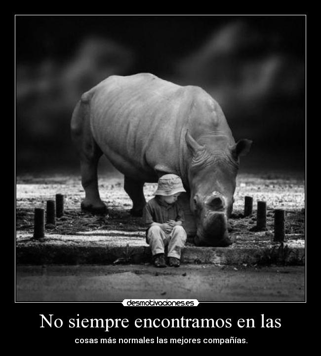 No siempre encontramos en las - cosas más normales las mejores compañías.