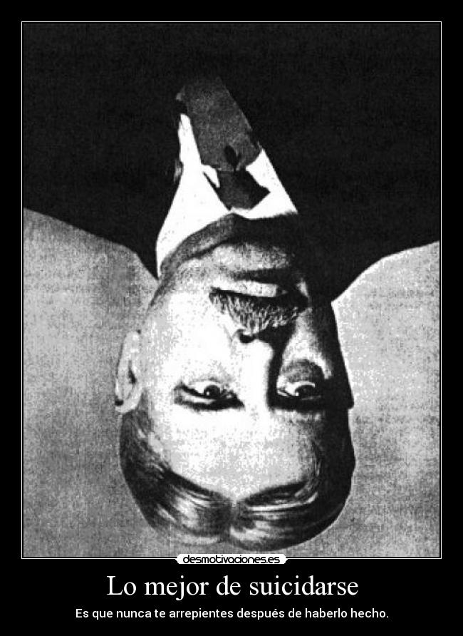 carteles clanornitorrinco que panfilo que imbecil soy clansegovia desmotivaciones