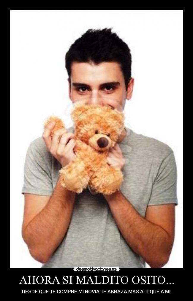 AHORA SI MALDITO OSITO... - DESDE QUE TE COMPRE MI NOVIA TE ABRAZA MAS A TI QUE A MI.