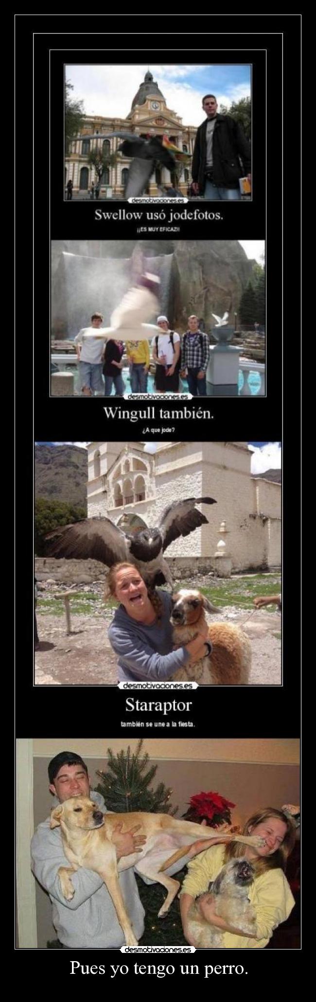 Pues yo tengo un perro. -