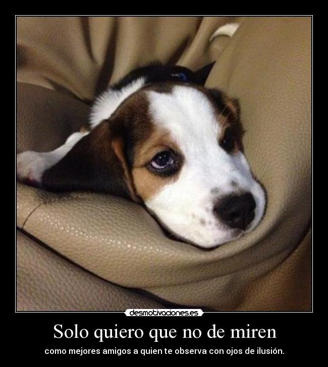 Solo quiero que no de miren - 