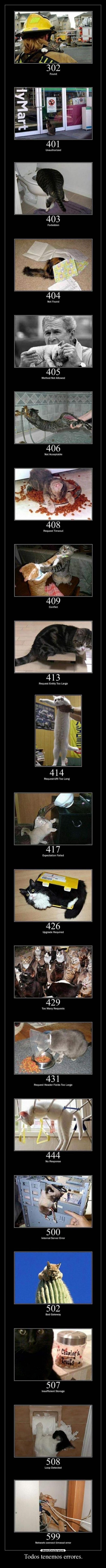 Todos tenemos errores. - 