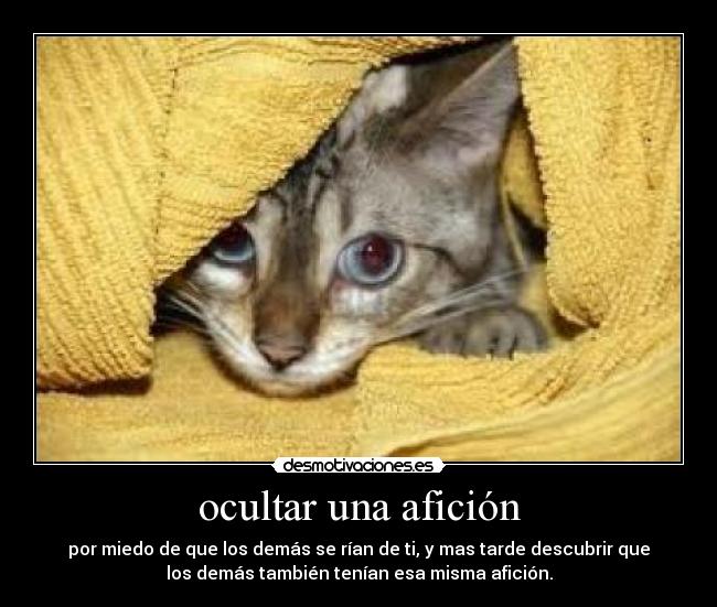 ocultar una afición - por miedo de que los demás se rían de ti, y mas tarde descubrir que
los demás también tenían esa misma afición.