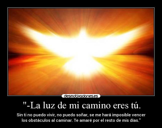 -La luz de mi camino eres tú. - Sin ti no puedo vivir, no puedo soñar, se me hará imposible vencer
los obstáculos al caminar. Te amaré por el resto de mis días.