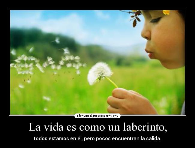 La vida es como un laberinto, - todos estamos en él, pero pocos encuentran la salida.