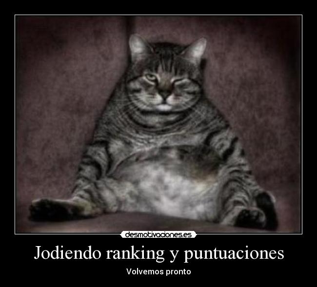 carteles pacoka teamhalerjia jfhcgvhkjzxfkkcxj desmotivaciones