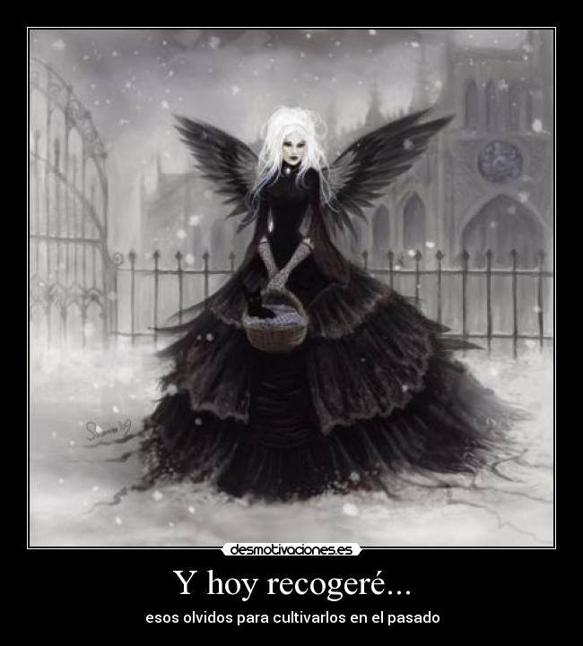 Y hoy recogeré... - 