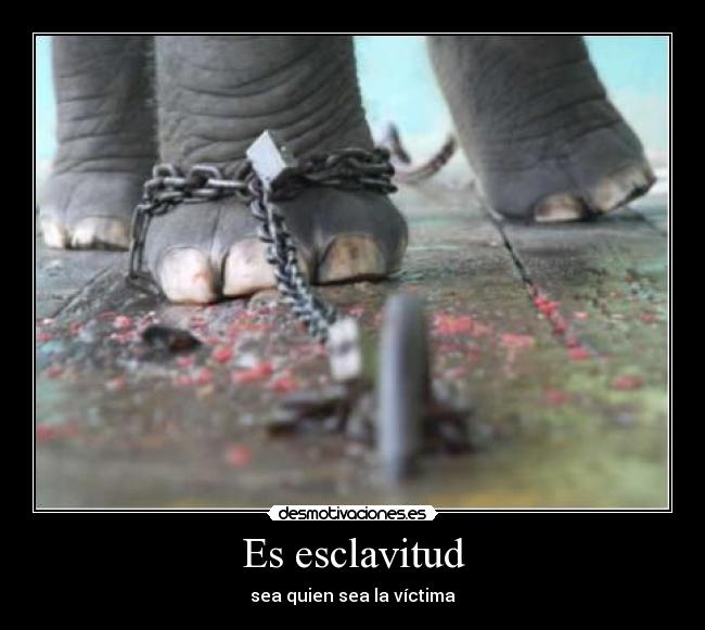 Es esclavitud -