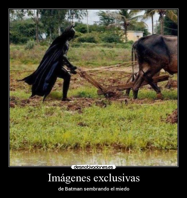 carteles batman miedo sembrar desmotivaciones