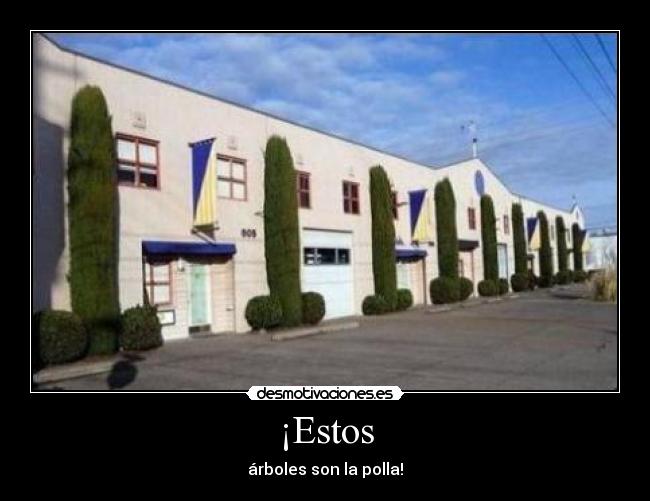 carteles dafdsfdasf desmotivaciones