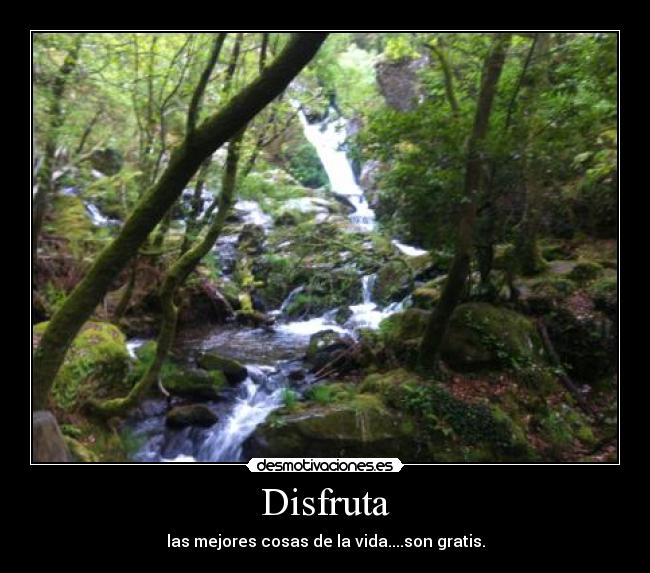 Disfruta - las mejores cosas de la vida....son gratis.