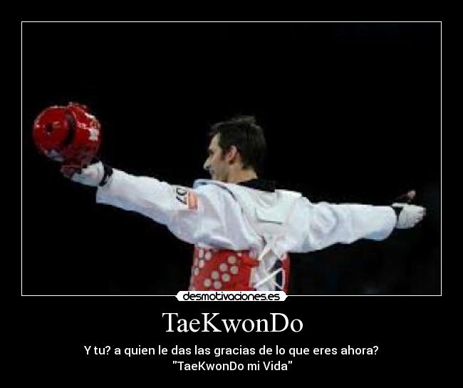 carteles taekwondo desmotivaciones