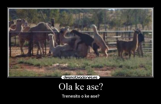 Ola ke ase? - Trenesito o ke ase?