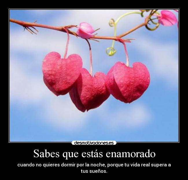 carteles confia los demas desmotivaciones