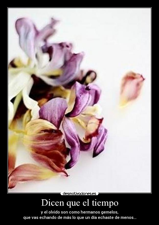 Dicen que el tiempo - y el olvido son como hermanos gemelos,
que vas echando de más lo que un día echaste de menos...
