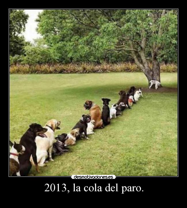 2013, la cola del paro. -