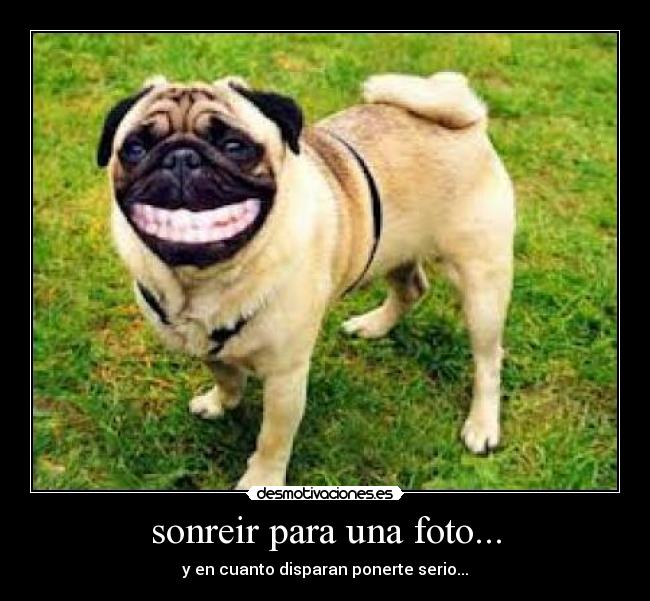 sonreir para una foto... - y en cuanto disparan ponerte serio...