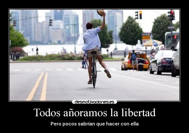 Todos añoramos la libertad - Pero pocos sabrían que hacer con ella