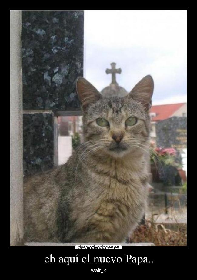 carteles sucutrule unicorniosfelices waltk desmotivaciones