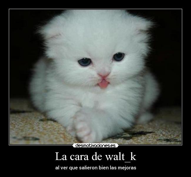 La cara de walt_k - al ver que salieron bien las mejoras