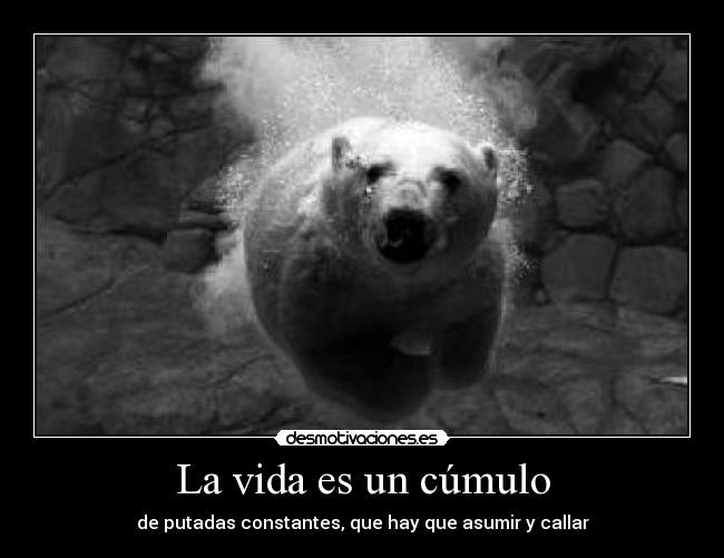 La vida es un cúmulo -