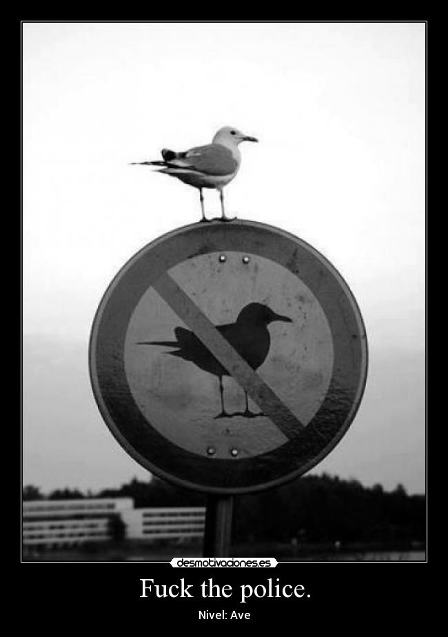 Fuck the police. - Nivel: Ave