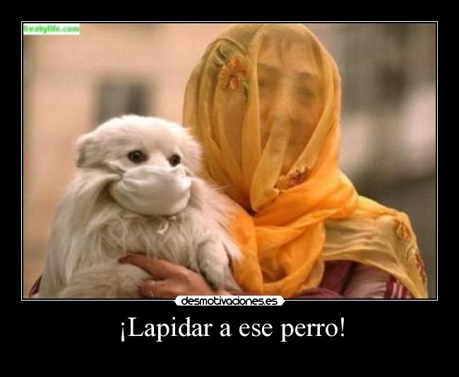 carteles eften perrosmolanmasquegatos desmotivaciones