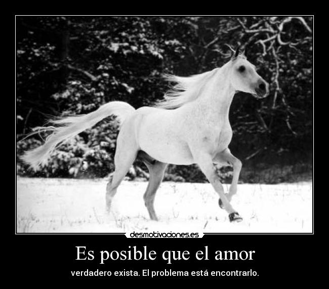 Es posible que el amor -