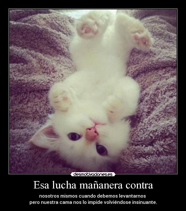 Esa lucha mañanera contra -