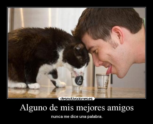 Alguno de mis mejores amigos - 