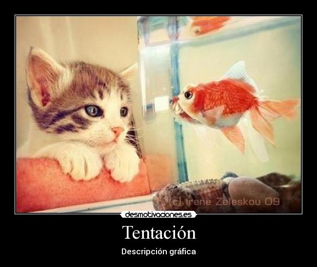 Tentación - Descripción gráfica