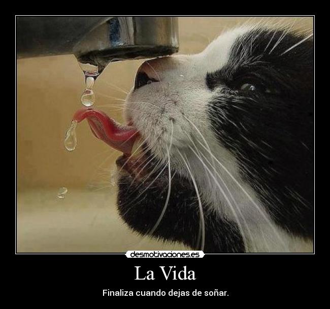 La Vida -