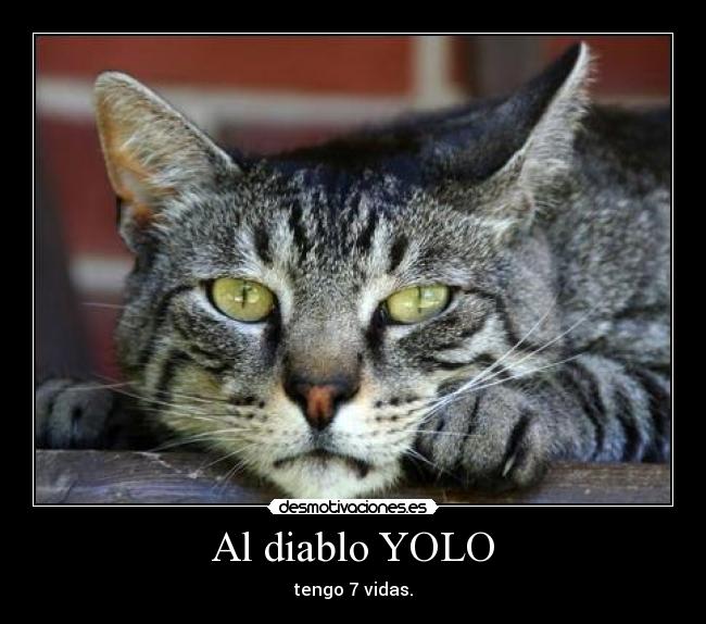 Al diablo YOLO - tengo 7 vidas.