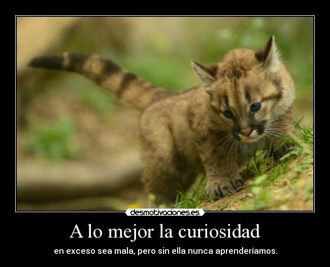 A lo mejor la curiosidad -