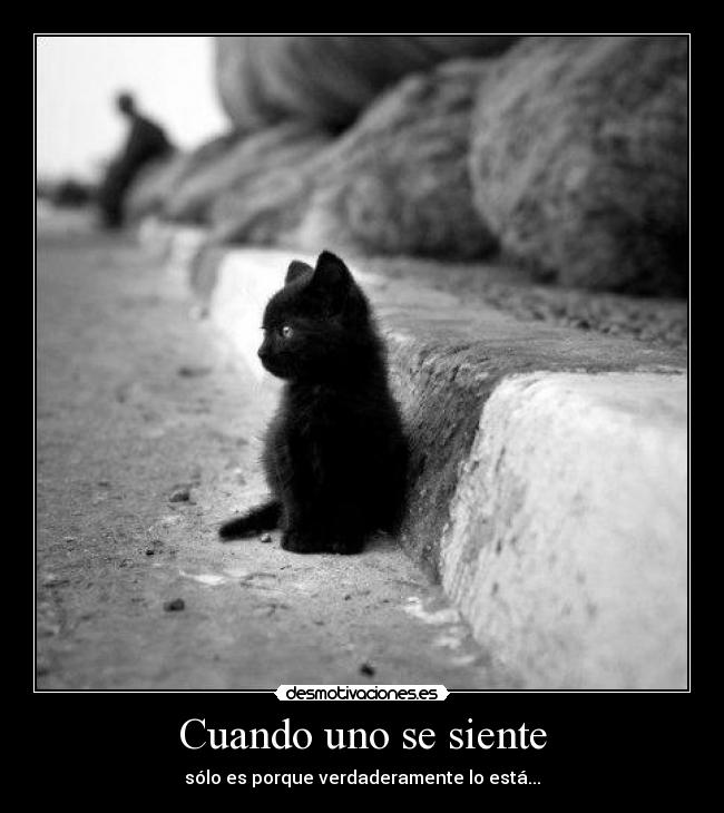 Cuando uno se siente - sólo es porque verdaderamente lo está...