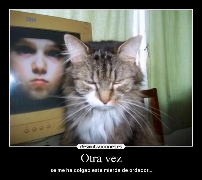 carteles gato efejota desmotivaciones